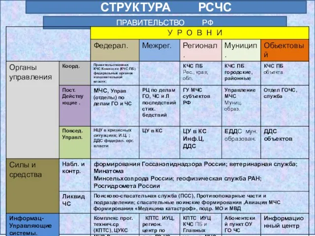 СТРУКТУРА РСЧС ПРАВИТЕЛЬСТВО РФ