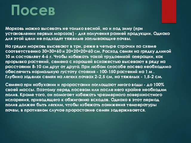 Морковь можно высевать не только весной, но и под зиму (при