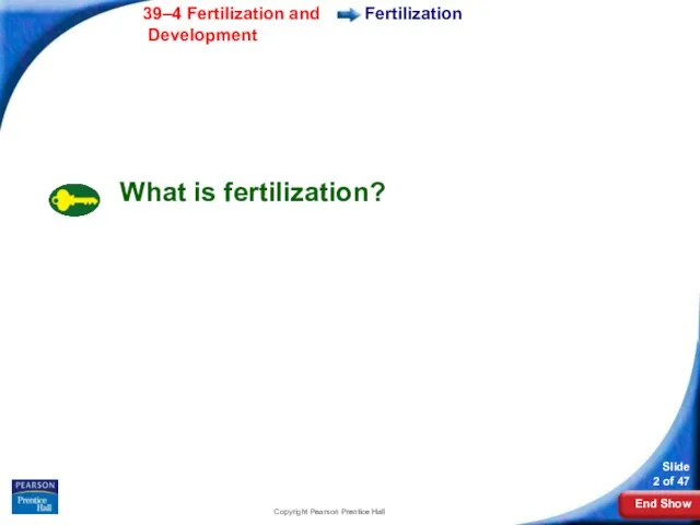 Copyright Pearson Prentice Hall What is fertilization? Fertilization