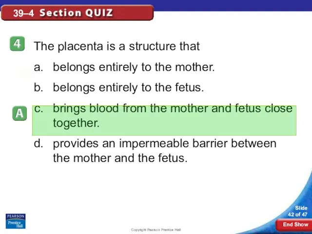 Copyright Pearson Prentice Hall 39–4 The placenta is a structure that