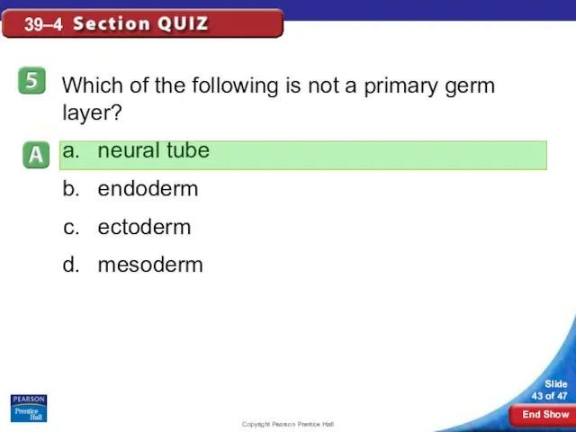 Copyright Pearson Prentice Hall 39–4 Which of the following is not