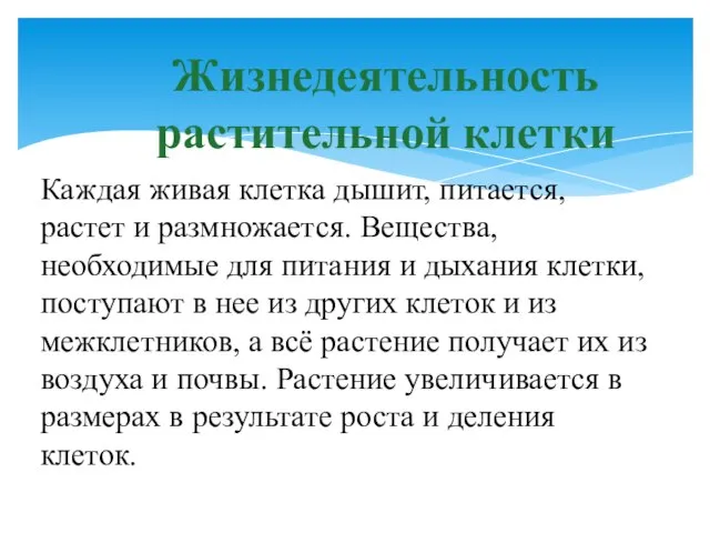 Жизнедеятельность растительной клетки Каждая живая клетка дышит, питается, растет и размножается.