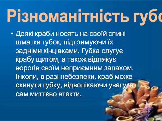 Деякі краби носять на своїй спині шматки губок, підтримуючи їх задніми