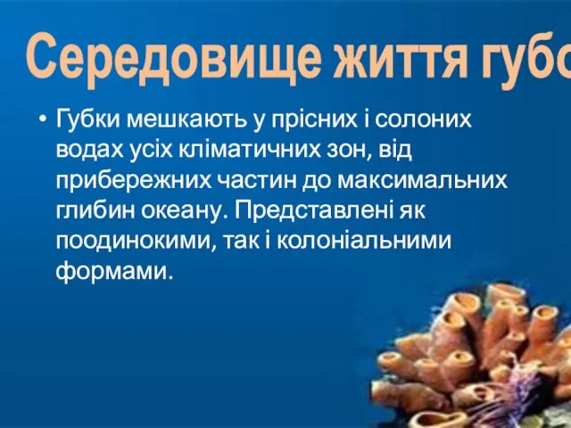 Губки мешкають у прісних і солоних водах усіх кліматичних зон, від