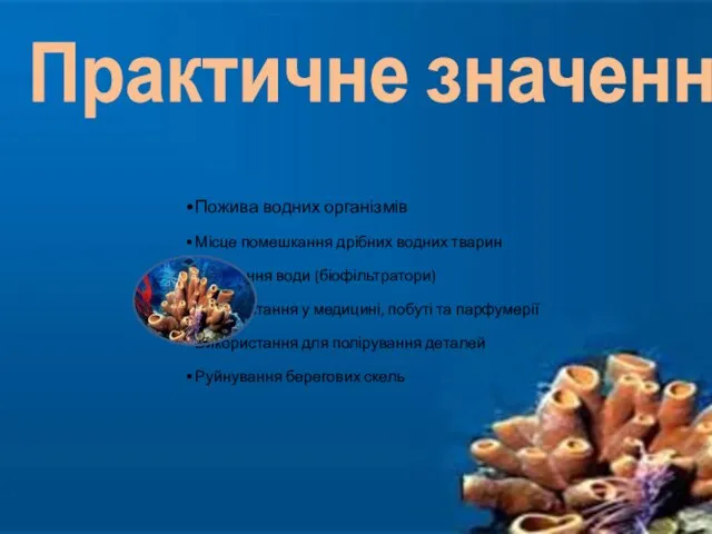 Пожива водних організмів Місце помешкання дрібних водних тварин Очищення води (біофільтратори)