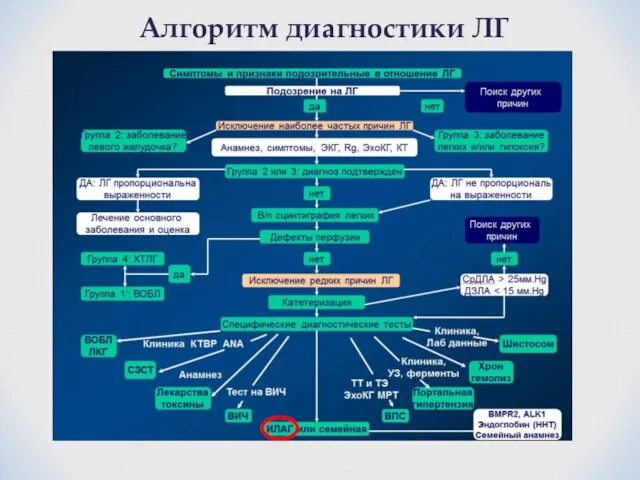 Алгоритм диагностики ЛГ