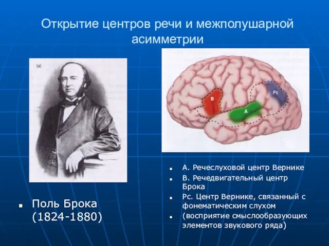 Открытие центров речи и межполушарной асимметрии Поль Брока (1824-1880) А. Речеслуховой