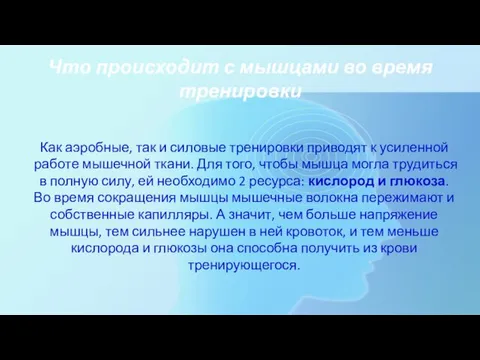 Что происходит с мышцами во время тренировки Как аэробные, так и