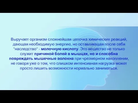 Выручает организм сложнейшая цепочка химических реакций, дающая необходимую энергию, но оставляющая