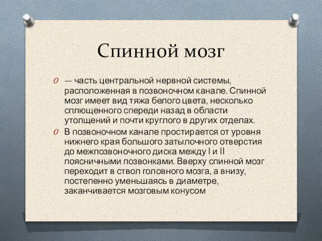 Спинной мозг — часть центральной нервной системы, расположенная в позвоночном канале.