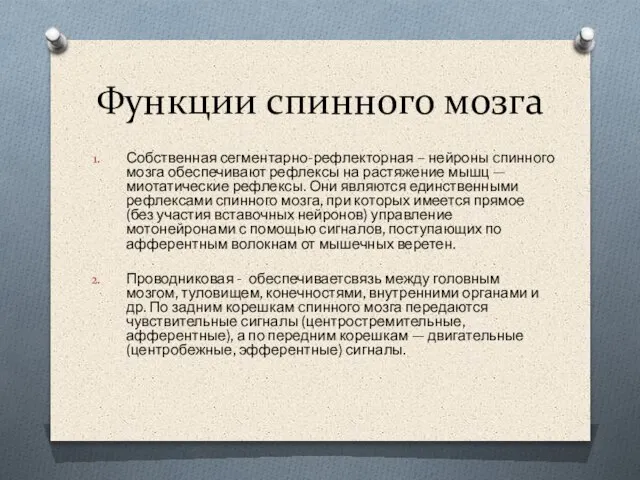 Функции спинного мозга Собственная сегментарно-рефлекторная – нейроны cпинного мозга обеспечивают рефлексы