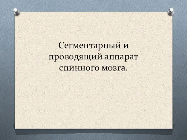 Сегментарный и проводящий аппарат спинного мозга.