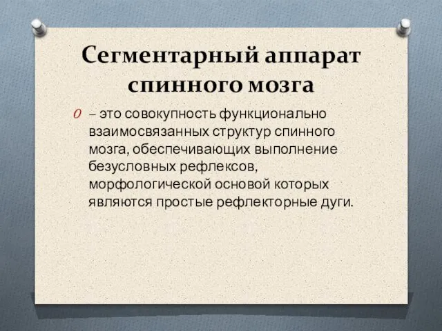 Сегментарный аппарат спинного мозга – это совокупность функционально взаимосвязанных структур спинного