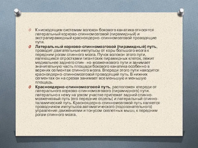 К нисходящим системам волокон бокового канатика относятся латеральный корково-спинномозговой (пирамидный) и