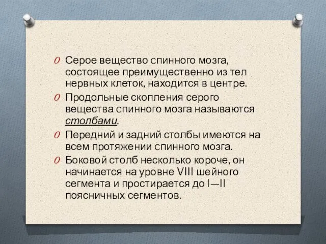 Серое вещество cпинного мозга, состоящее преимущественно из тел нервных клеток, находится