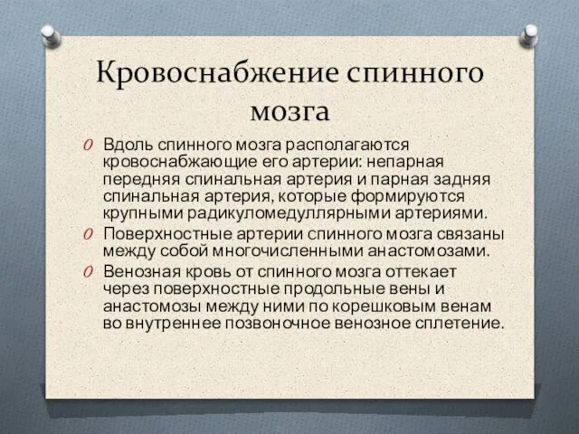 Кровоснабжение спинного мозга Вдоль спинного мозга располагаются кровоснабжающие его артерии: непарная