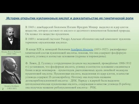 История открытия нуклеиновых кислот и доказательство их генетической роли В 1869