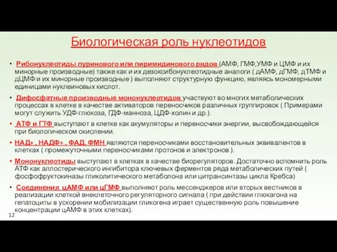 Биологическая роль нуклеотидов Рибонуклеотиды пуринового или пиримидинового рядов (АМФ, ГМФ,УМФ и