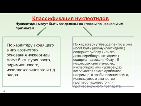 Классификация нуклеотидов По характеру углевода-пентозы они могут быть рибонуклеотидами ( содержат