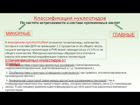 По частоте встречаемости в составе нуклеиновых кислот ГЛАВНЫЕ МИНОРНЫЕ К минорным