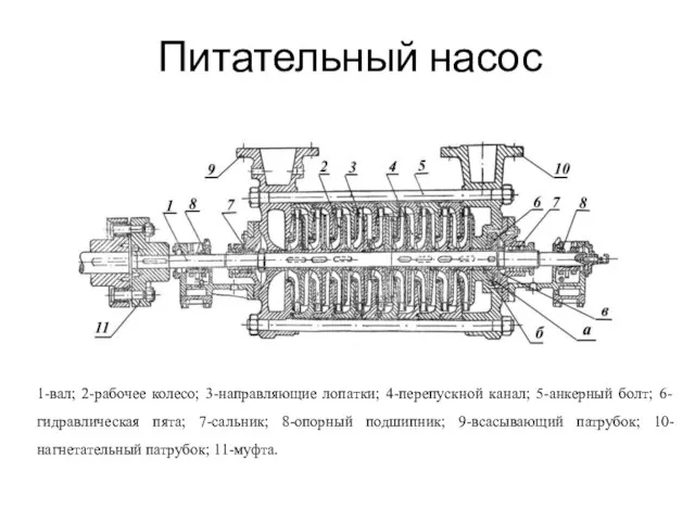 Питательный насос 1-вал; 2-рабочее колесо; 3-направляющие лопатки; 4-перепускной канал; 5-анкерный болт;