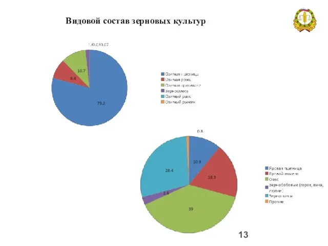 Видовой состав зерновых культур