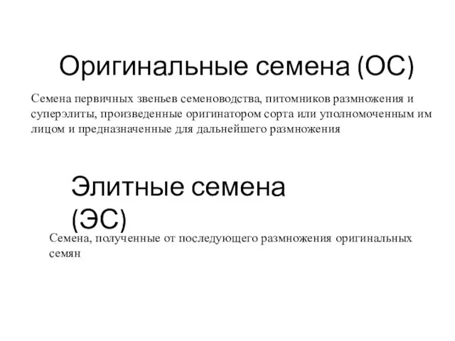 Оригинальные семена (ОС) Семена первичных звеньев семеноводства, питомников размножения и суперэлиты,