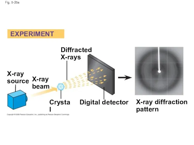 Fig. 5-25a Diffracted X-rays EXPERIMENT X-ray source X-ray beam Crystal Digital detector X-ray diffraction pattern