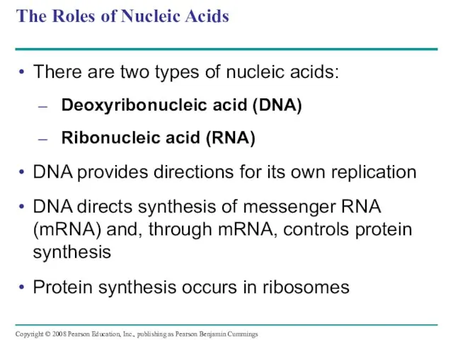 The Roles of Nucleic Acids There are two types of nucleic