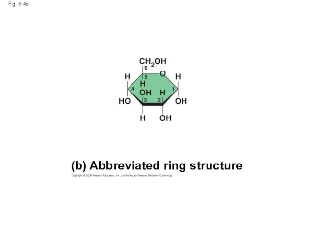 Fig. 5-4b (b) Abbreviated ring structure