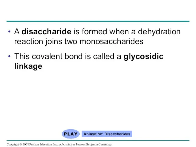 A disaccharide is formed when a dehydration reaction joins two monosaccharides