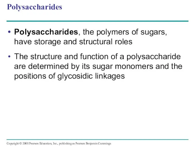 Polysaccharides Polysaccharides, the polymers of sugars, have storage and structural roles