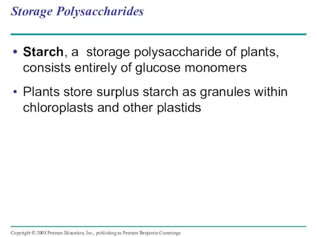 Storage Polysaccharides Starch, a storage polysaccharide of plants, consists entirely of
