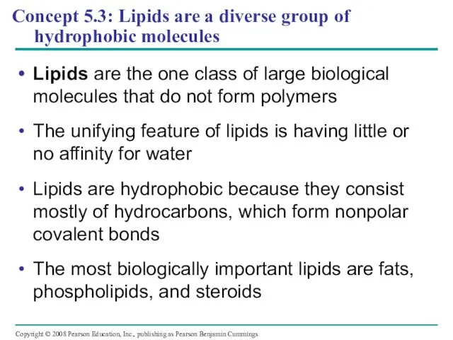 Concept 5.3: Lipids are a diverse group of hydrophobic molecules Lipids