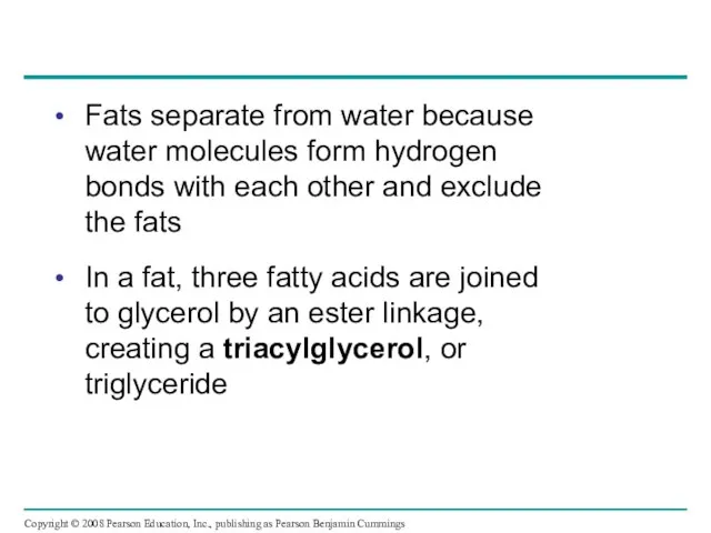 Fats separate from water because water molecules form hydrogen bonds with