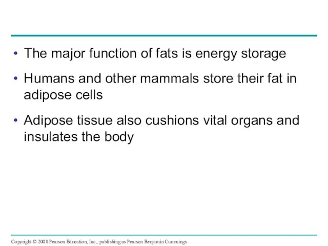 The major function of fats is energy storage Humans and other