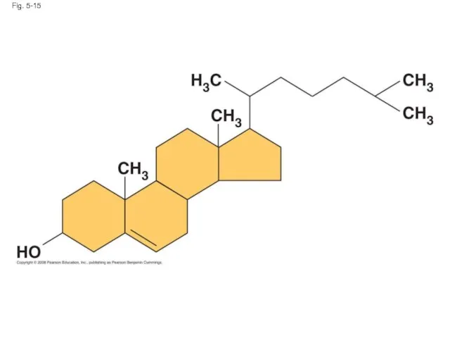 Fig. 5-15