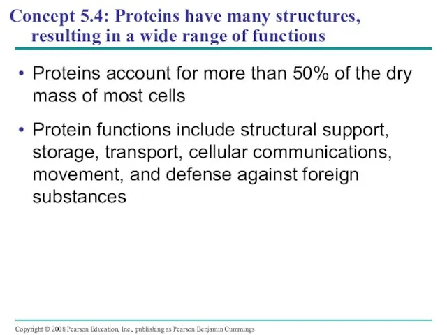 Concept 5.4: Proteins have many structures, resulting in a wide range