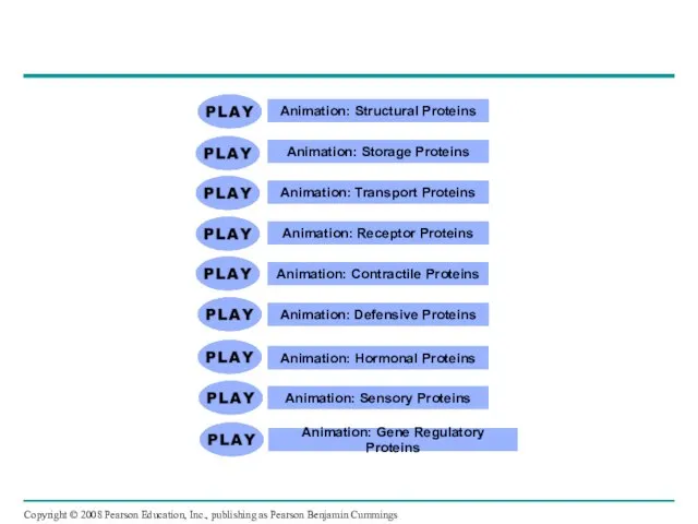 Animation: Structural Proteins Animation: Storage Proteins Animation: Transport Proteins Animation: Receptor