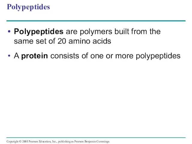 Polypeptides Polypeptides are polymers built from the same set of 20