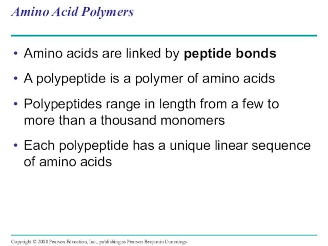 Amino Acid Polymers Amino acids are linked by peptide bonds A