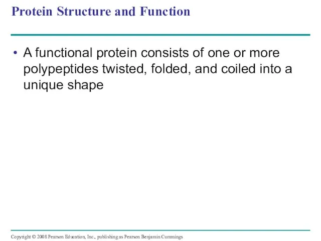 Protein Structure and Function A functional protein consists of one or