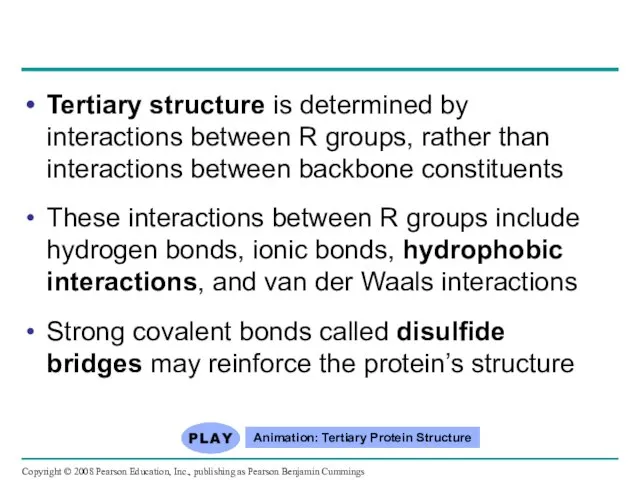 Tertiary structure is determined by interactions between R groups, rather than