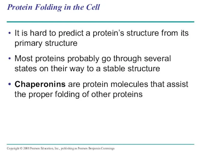 Protein Folding in the Cell It is hard to predict a