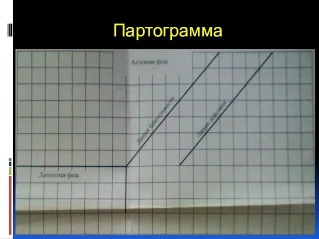 Партограмма