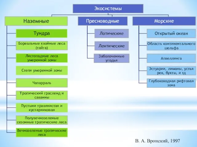 В. А. Вронский, 1997