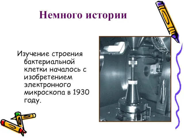 Немного истории Изучение строения бактериальной клетки началось с изобретением электронного микроскопа в 1930 году.