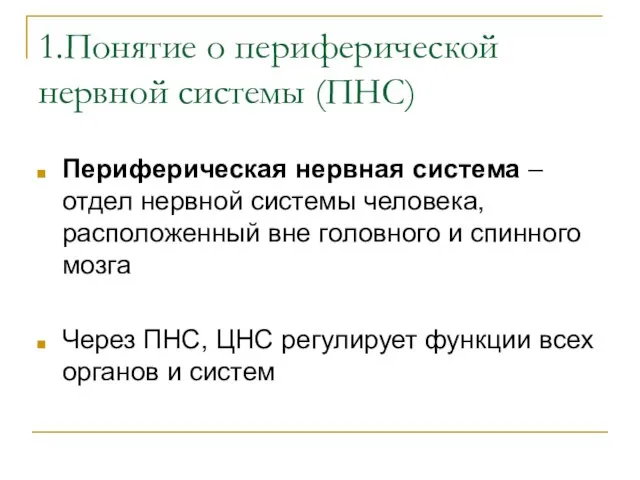 1.Понятие о периферической нервной системы (ПНС) Периферическая нервная система – отдел