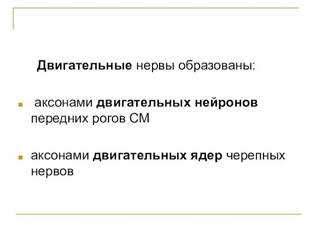 Двигательные нервы образованы: аксонами двигательных нейронов передних рогов СМ аксонами двигательных ядер черепных нервов