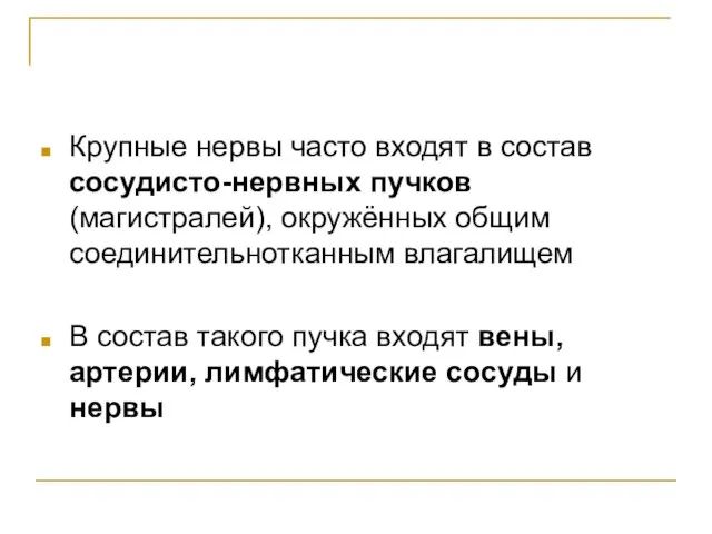 Крупные нервы часто входят в состав сосудисто-нервных пучков (магистралей), окружённых общим